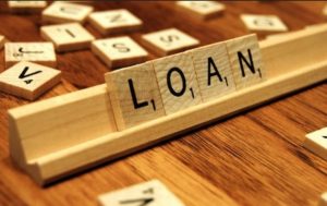 what is a director's loan