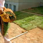 landscaper putting down turf